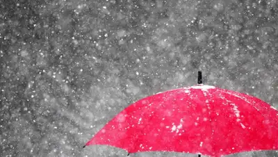 merkur.de, фото - Новости Zakon.kz от 27.11.2019 09:01