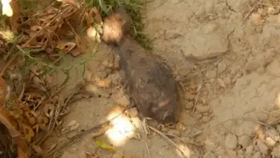 Zakon.kz, фото - Новости Zakon.kz от 25.08.2015 22:35