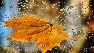 Zakon.kz, фото - Новости Zakon.kz от 09.09.2014 23:14