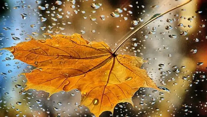 В ближайшие три дня на востоке и юго-востоке РК ожидаются дожди