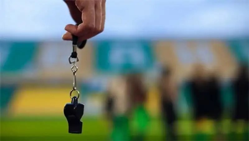 Арбитр ФИФА Егоров: японский судья ошибся