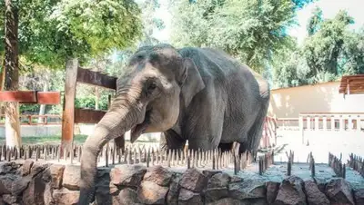 Zakon.kz, фото - Новости Zakon.kz от 22.06.2016 16:05