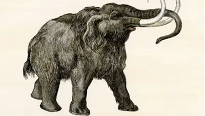 Zakon.kz, фото - Новости Zakon.kz от 23.03.2015 19:32