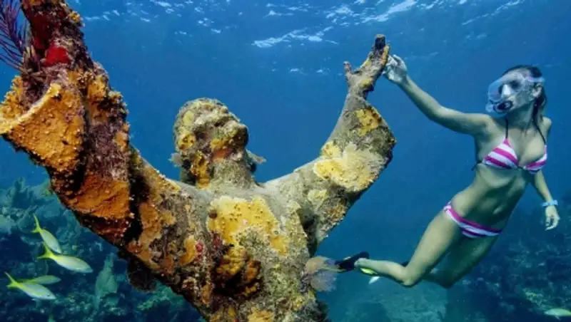 Самые красивые и необычные вещи, которые можно встретить под водой