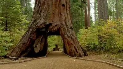 Zakon.kz, фото - Новости Zakon.kz от 10.01.2017 07:09