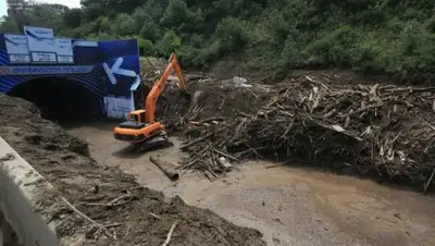 Zakon.kz, фото - Новости Zakon.kz от 17.06.2015 17:53