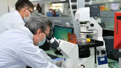 изменения правила присуждения премии лучшим ученым, фото - Новости Zakon.kz от 17.11.2022 14:52