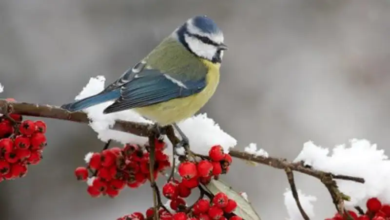 Неустойчивая погода ждет казахстанцев в понедельник