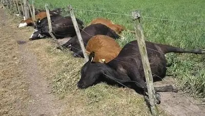 Zakon.kz, фото - Новости Zakon.kz от 05.09.2016 22:33