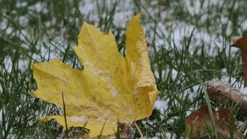 Снег ожидается во вторник в Казахстане
