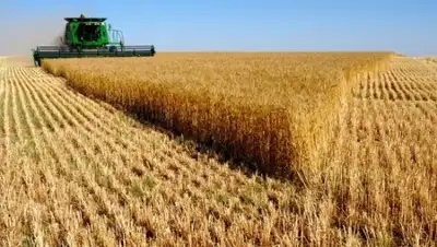 из открытых источников, фото - Новости Zakon.kz от 14.02.2018 18:32