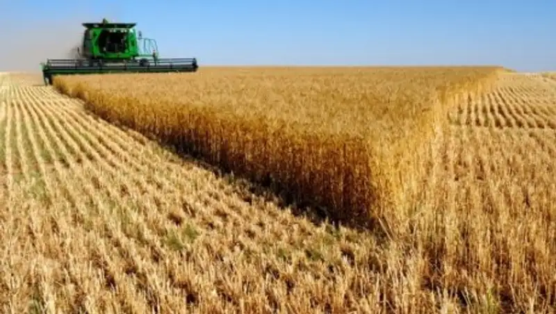 Шукеев предложил ввести единый аграрный налог