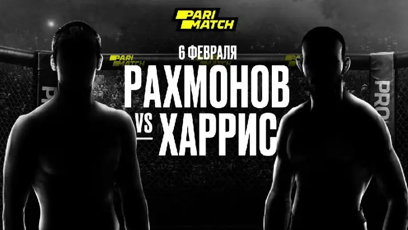 Топ-бой недели: возвращение Шавката «Кочевника» Рахмонова