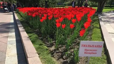 inalmaty.kz, фото - Новости Zakon.kz от 29.04.2018 16:52