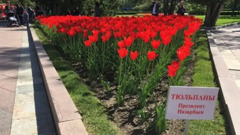 На алматинском фестивале представлен сорт тюльпанов «Президент Назарбаев»