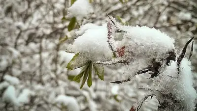 Zakon.kz, фото - Новости Zakon.kz от 31.03.2015 16:57