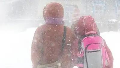 gorod.lv, фото - Новости Zakon.kz от 22.11.2019 09:06