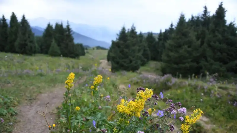 Спасатели обратились к алматинцам из-за штормового предупреждения