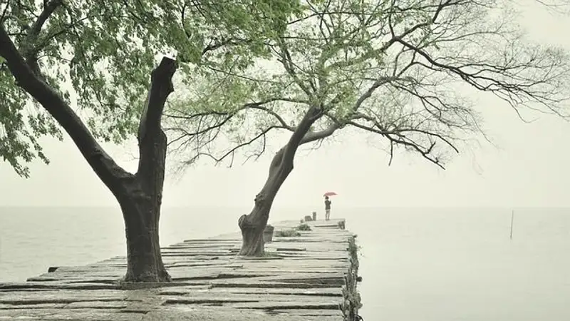 В каких регионах Казахстана в субботу ожидаются дожди и сильный ветер