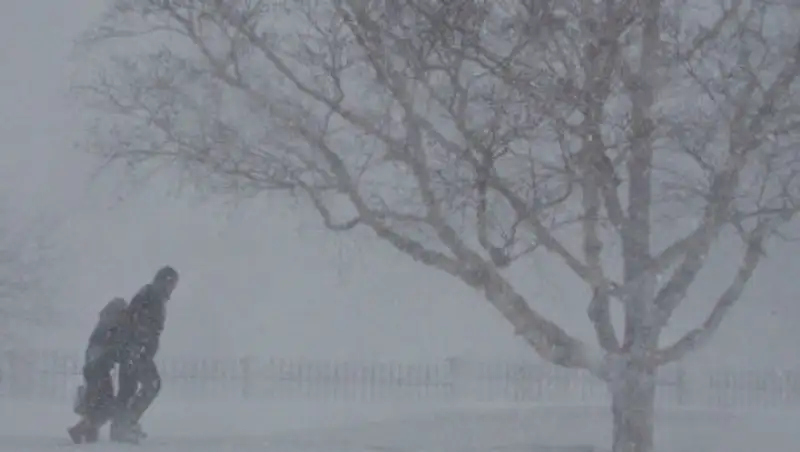 В Нур-Султане и других городах отменили занятия из-за погоды
