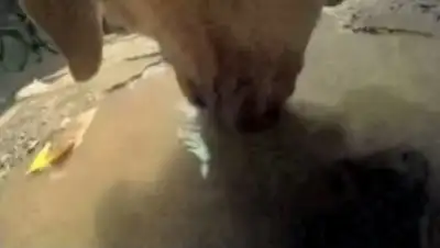 Zakon.kz, фото - Новости Zakon.kz от 07.06.2015 06:23