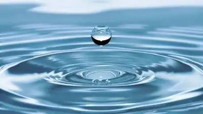 pixabay.com, фото - Новости Zakon.kz от 23.03.2021 22:49