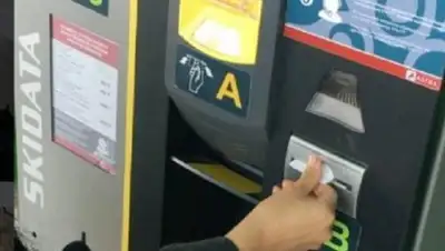 Zakon.kz, фото - Новости Zakon.kz от 20.08.2017 20:20