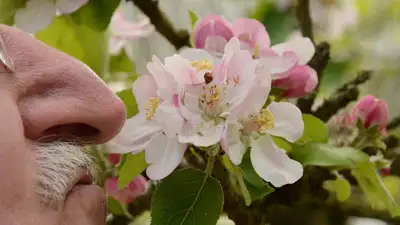 парфюм, фото - Новости Zakon.kz от 02.10.2023 11:27