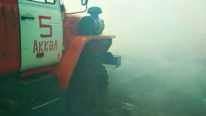 Лесной пожар в Акмолинской области локализован