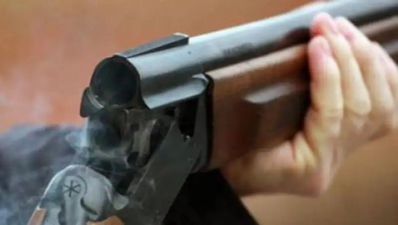 В Талдыкоргане мужчина незаконно продал ружье, из которого впоследствии убили человека