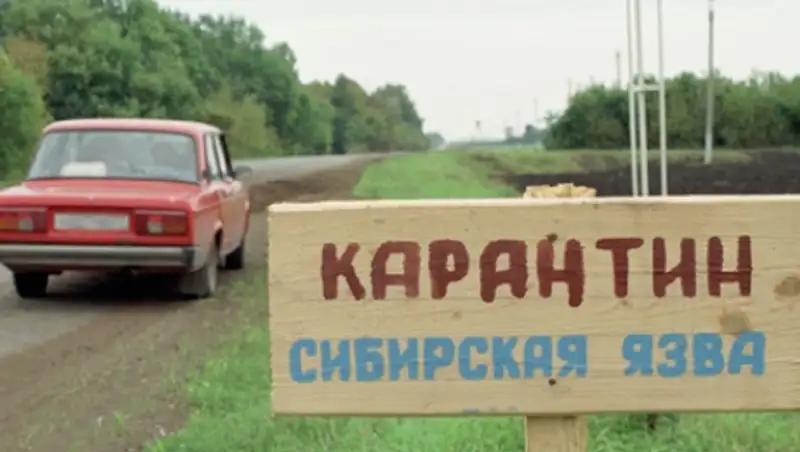 Случай заболевания сибирской язвой выявлен в Молдавии