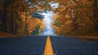 pixabay.com, фото - Новости Zakon.kz от 10.09.2021 15:44