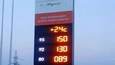 Zakon.kz, фото - Новости Zakon.kz от 11.02.2016 22:47