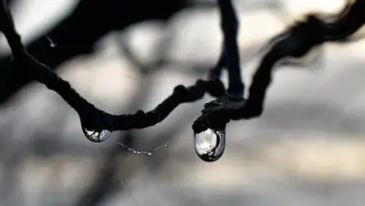 Гидрометцентр, фото - Новости Zakon.kz от 15.10.2018 09:24