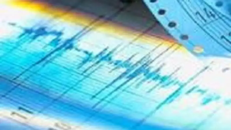 В 259 км от Алматы произошло землетрясение магнитудой 4.4