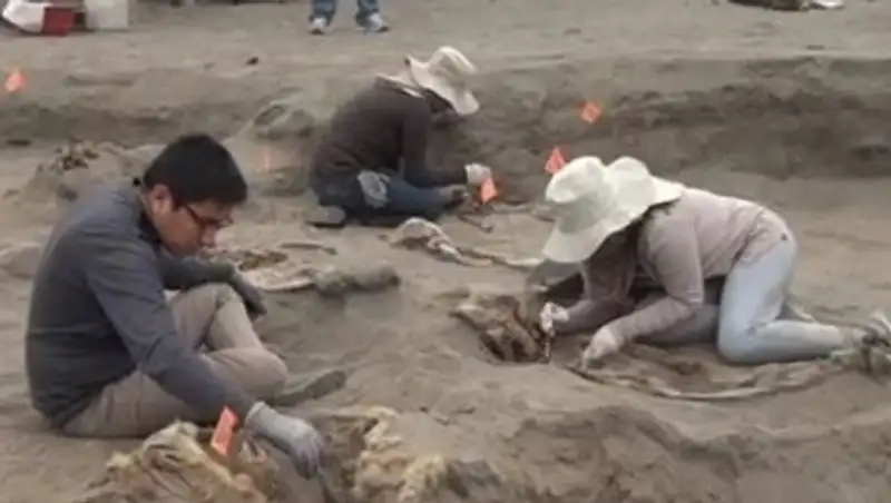 В Перу нашли 56 скелетов принесенных в жертву детей