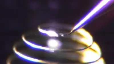 Zakon.kz, фото - Новости Zakon.kz от 01.06.2016 18:04