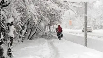 Zakon.kz, фото - Новости Zakon.kz от 18.12.2016 12:00