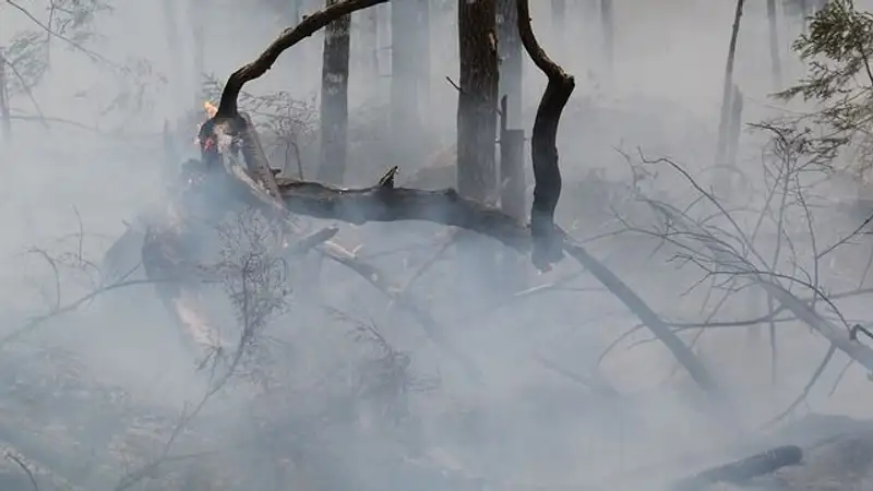 Потушен пожар в горах ВКО