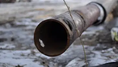 соцсети, фото - Новости Zakon.kz от 26.09.2018 09:38