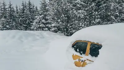 piqsels, фото - Новости Zakon.kz от 14.01.2020 06:09