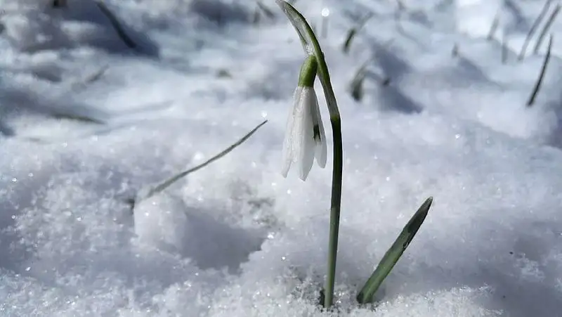Какой будет погода в Казахстане 26 марта