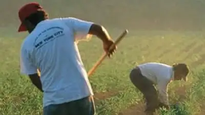 Zakon.kz, фото - Новости Zakon.kz от 25.08.2015 14:35