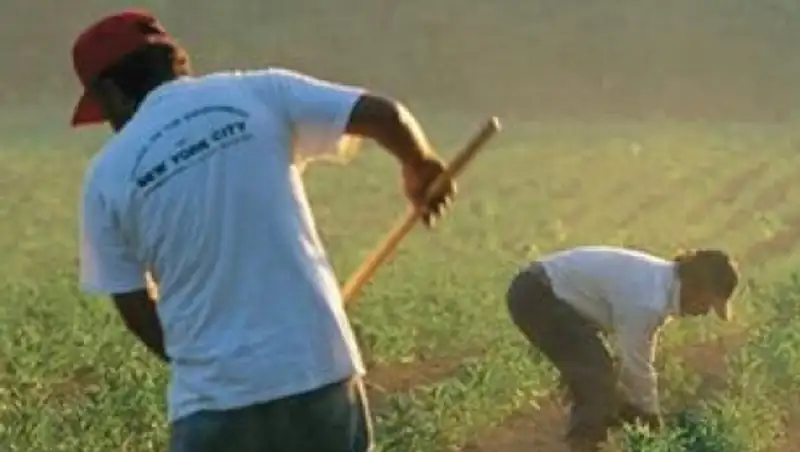 Нелегальных рабочих в Британии планируют сажать в тюрьму