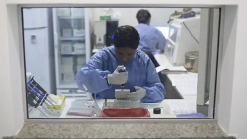 Ученые: вакцина от лихорадки Зика может быть готова до конца года