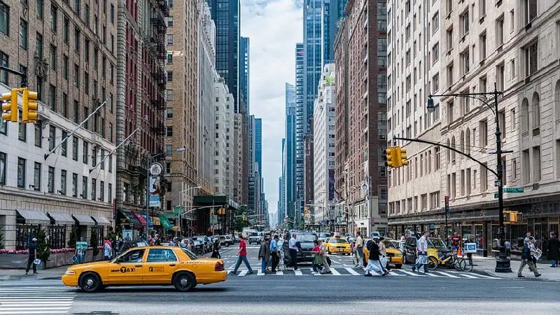 В США выявили 156 случаев заражения оспой обезьян