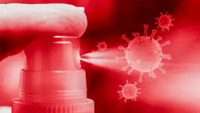 pixabay.com, фото - Новости Zakon.kz от 21.07.2020 17:24