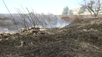 Пожар в ВКО сухостой , фото - Новости Zakon.kz от 06.09.2022 09:00