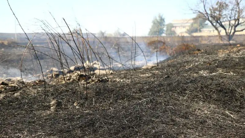 Пожарные ВКО показали на видео сброс воды с вертолета на горящую траву