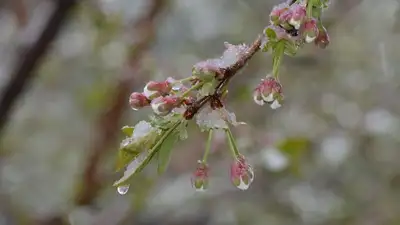 Неблагоприятные метеорологические условия ожидаются в воскресенье в Алматы, фото - Новости Zakon.kz от 02.04.2023 04:49